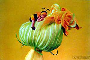 Flower Picture