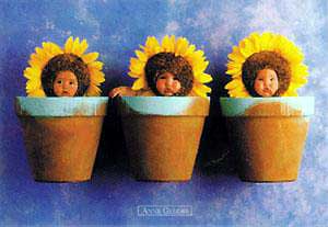 Flower Picture