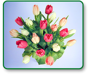 Flower Picture
