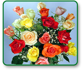 Flower Picture