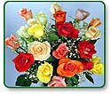 Flower Picture