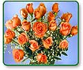 Flower Picture