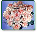 Flower Picture