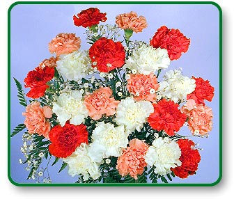 Flower Picture