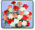 Flower Picture