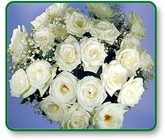 Flower Picture
