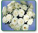 Flower Picture