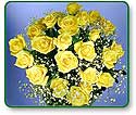 Flower Picture