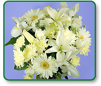 Flower Picture