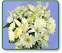 Flower Picture