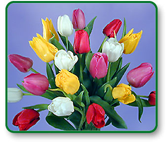 Flower Picture