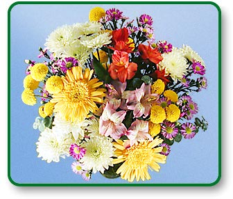 Flower Picture