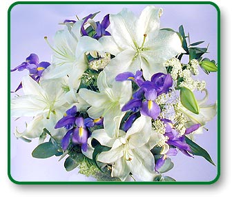 Flower Picture