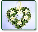 Flower Picture