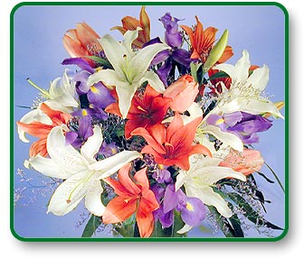 Flower Picture