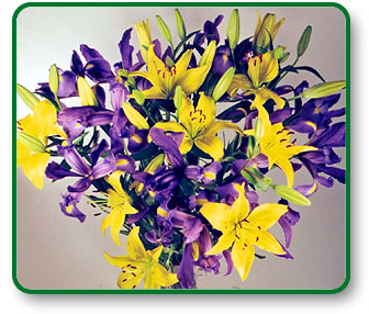 Flower Picture