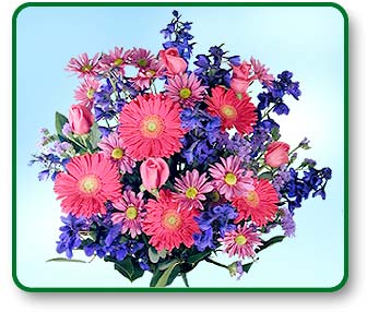 Flower Picture