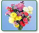 Flower Picture