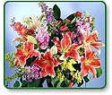 Flower Picture