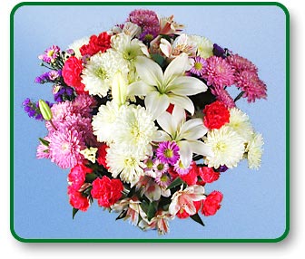 Flower Picture