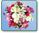Flower Picture