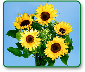 Flower Picture