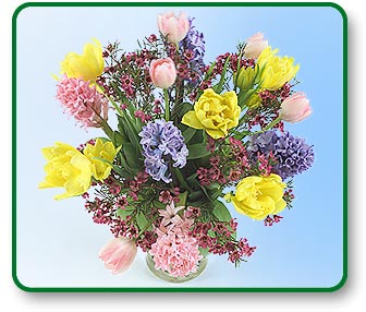 Flower Picture
