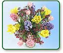 Flower Picture