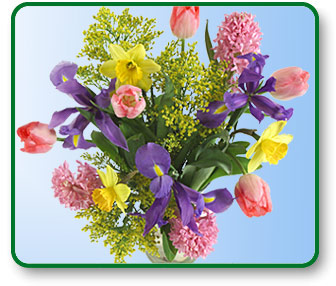 Flower Picture