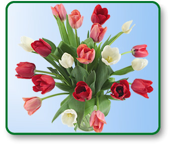 Flower Picture