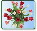 Flower Picture