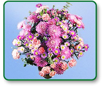 Flower Picture