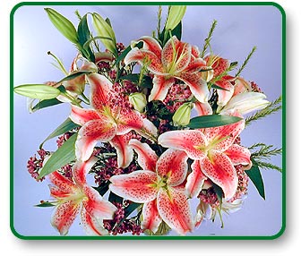 Flower Picture