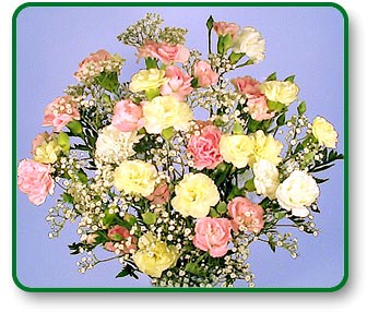 Flower Picture