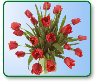 Flower Picture