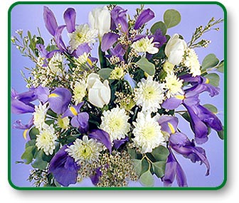 Flower Picture