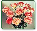 Flower Picture