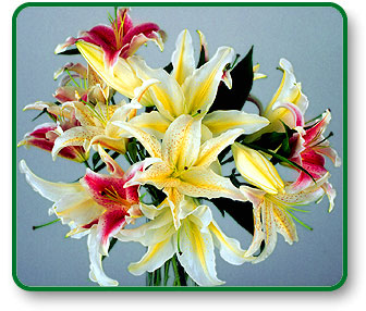 Flower Picture