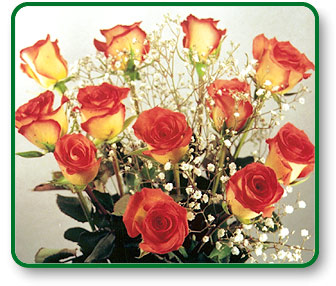 Flower Picture