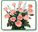 Flower Picture