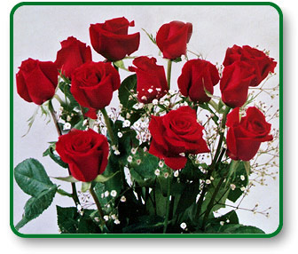 Flower Picture