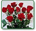 Flower Picture