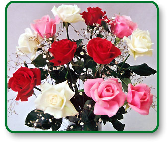 Flower Picture